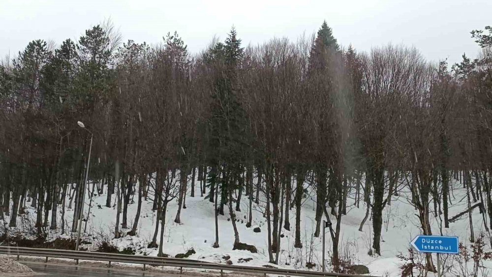 BOLU DAĞI’NDA KAR YAĞIŞI ETKİLİ OLUYOR. TÜRKİYE'NİN EN ÖNEMLİ KARA YOLU GEÇİŞİ OLAN BOLU DAĞI'NDA ÖĞLE SAATLERİNDE BAŞLAYAN YAĞMUR, YERİNİ KAR YAĞIŞINA BIRAKTI