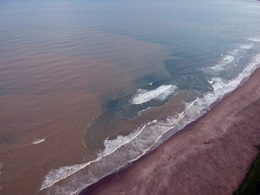 SİNOP'TA ÖNCEKİ HAFTA YAĞAN KAR, ERİYEREK DENİZE ÇAMUR OLARAK AKTI. DOĞASIYLA KENDİNE HAYRAN BIRAKAN AKLİMAN, MAVİLİĞİNİ KAHVERENGİYE BIRAKTI