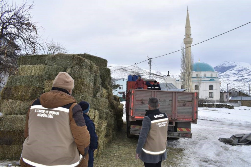 BAYBURTLU ÇİFTÇİLERİN, DEPREM BÖLGESİNDEKİ ÇİFTÇİLER İÇİN BAŞLATMIŞ OLDUĞU YARDIM KAMPANYASINDA YEM VE OT DESTEĞİ HIZ KESMEDEN DEVAM EDİYOR