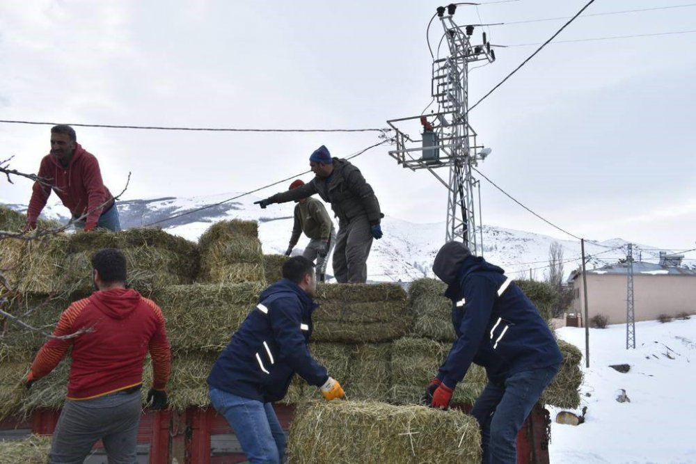 BAYBURTLU ÇİFTÇİLERİN, DEPREM BÖLGESİNDEKİ ÇİFTÇİLER İÇİN BAŞLATMIŞ OLDUĞU YARDIM KAMPANYASINDA YEM VE OT DESTEĞİ HIZ KESMEDEN DEVAM EDİYOR