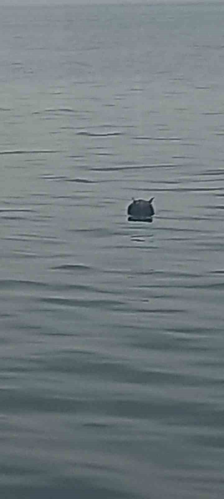 KASTAMONU'DA SAHİLDEN 10 KİLOMETRE AÇIKTA BALIKÇILAR TARAFINDAN BULUNAN MAYIN, KONTROLLÜ ŞEKİLDE İMHA EDİLDİ