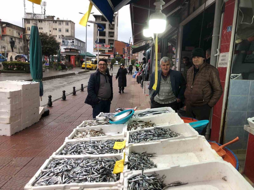 HAMSİ SEZONUNDA SONA YAKLAŞILIRKEN, RİZELİ BALIKÇILARIN AĞLARINDA HAMSİ BOLLUĞU YAŞANIYOR. GEÇTİĞİMİZ GÜNLERDE 20 TL'YE KADAR DÜŞEN HAMSİNİN KİLOGRAM FİYATI BUGÜN İTİBARİYLE RİZE'NİN PAZAR İLÇESİNDE 10 TL'YE KADAR DÜŞTÜ