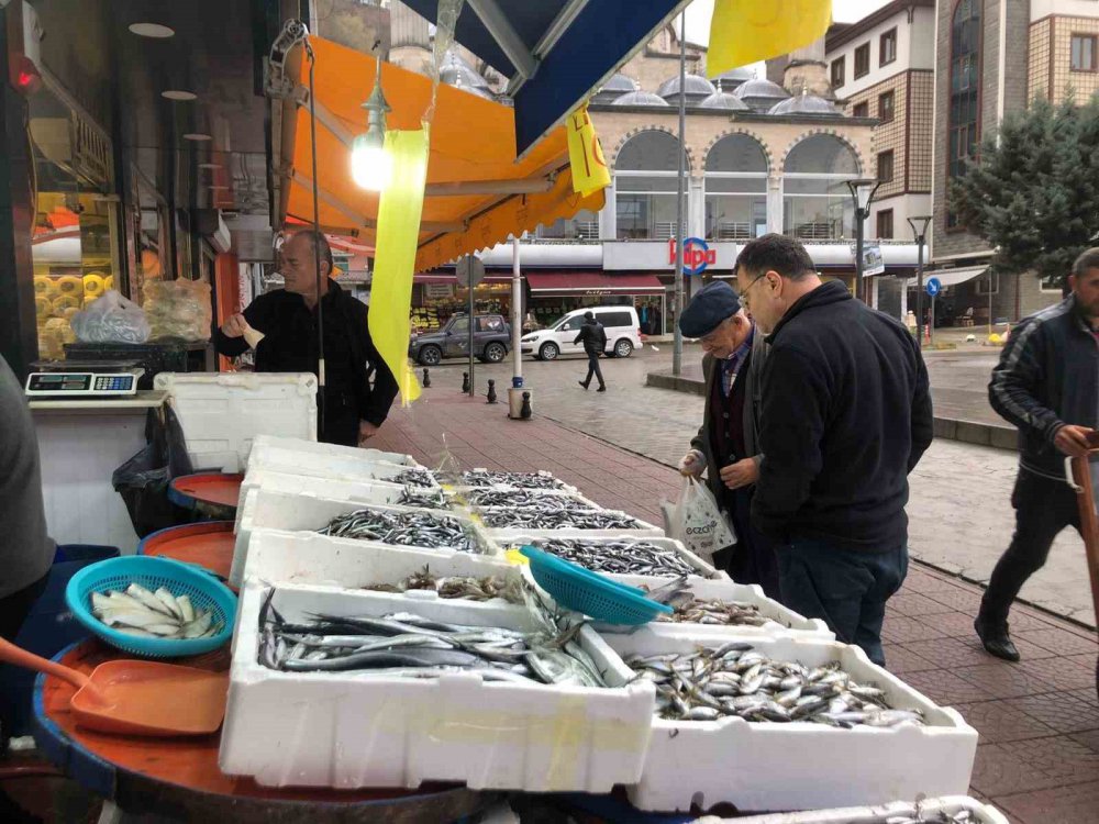 HAMSİ SEZONUNDA SONA YAKLAŞILIRKEN, RİZELİ BALIKÇILARIN AĞLARINDA HAMSİ BOLLUĞU YAŞANIYOR. GEÇTİĞİMİZ GÜNLERDE 20 TL'YE KADAR DÜŞEN HAMSİNİN KİLOGRAM FİYATI BUGÜN İTİBARİYLE RİZE'NİN PAZAR İLÇESİNDE 10 TL'YE KADAR DÜŞTÜ