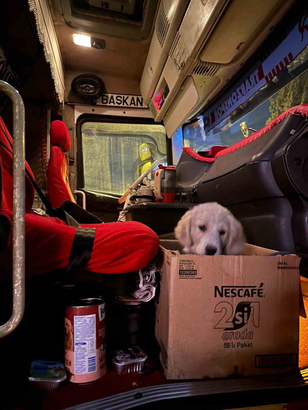 DEPREMDE ENKAZ ALTINDAN KURTARILAN KÖPEK TRABZON'DA SAHİPLENDİRİLDİ. ORTAHİSAR BELEDİYE BAŞKANI AHMET METİN GENÇ'İN HAREKETE GEÇMESİ İLE TRABZON'A GETİRİLEN KÖPEĞİ BÜŞRA BOĞUÇLU İSİMLİ HAYVANSEVER SAHİPLENDİ