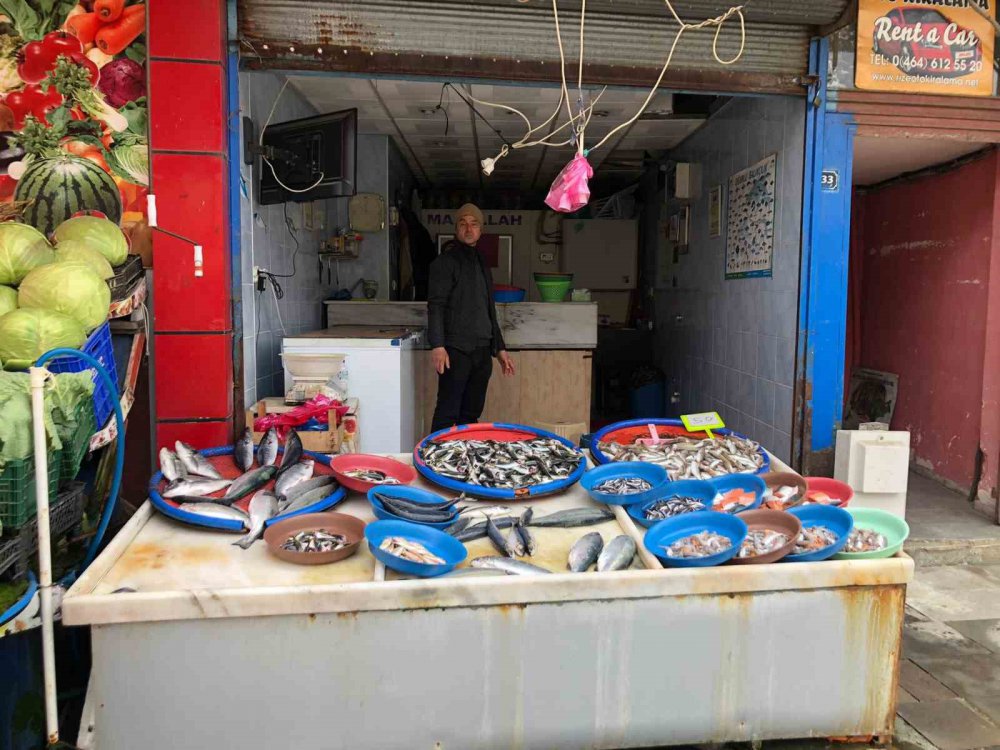 TRABZON'UN ARSİN İLÇESİ AÇIKLARINDAKİ BALIK KAFESLERİNİN BİLİNMEYEN BİR NEDENLE YIRTILMASI SONUCU KAFESTEN KAÇAN SOMONLAR HEM OLTA , HEM DE KIYI BALIKÇILARI TARAFINDAN TUTULURKEN, RİZE'DE TEZGAHLARDA YARI FİYATINA SATILIYOR