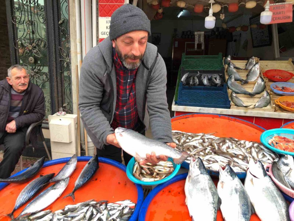 TRABZON'UN ARSİN İLÇESİ AÇIKLARINDAKİ BALIK KAFESLERİNİN BİLİNMEYEN BİR NEDENLE YIRTILMASI SONUCU KAFESTEN KAÇAN SOMONLAR HEM OLTA , HEM DE KIYI BALIKÇILARI TARAFINDAN TUTULURKEN, RİZE'DE TEZGAHLARDA YARI FİYATINA SATILIYOR