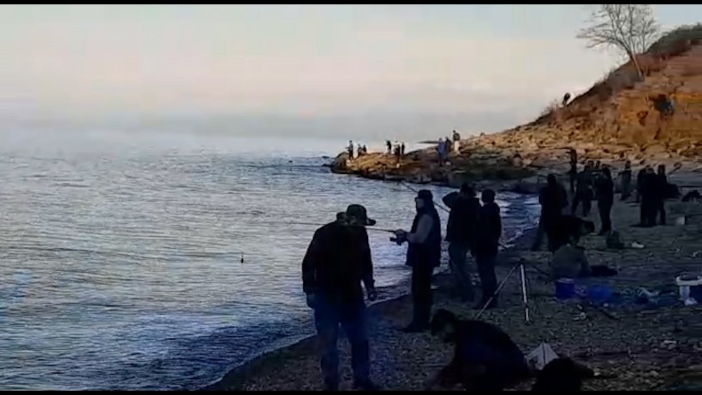 TRABZON'UN ARSİN İLÇESİ AÇIKLARINDAKİ BALIK KAFESLERİNİN BİLİNMEYEN BİR NEDENLE YIRTILMASI SONUCU KAFESTEN KAÇAN SOMONLAR HEM OLTA , HEM DE KIYI BALIKÇILARI TARAFINDAN TUTULURKEN, RİZE'DE TEZGAHLARDA YARI FİYATINA SATILIYOR