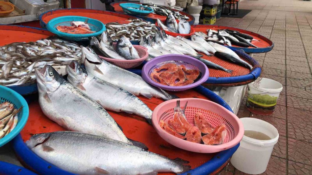 TRABZON'UN ARSİN İLÇESİ AÇIKLARINDAKİ BALIK KAFESLERİNİN BİLİNMEYEN BİR NEDENLE YIRTILMASI SONUCU KAFESTEN KAÇAN SOMONLAR HEM OLTA , HEM DE KIYI BALIKÇILARI TARAFINDAN TUTULURKEN, RİZE'DE TEZGAHLARDA YARI FİYATINA SATILIYOR
