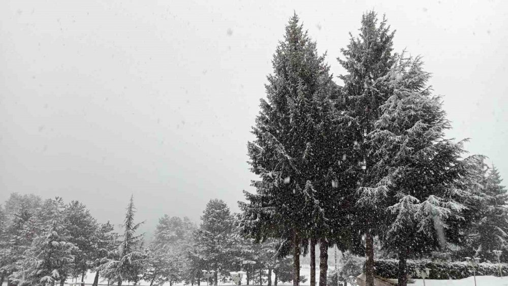 DOĞASEVERLERİN GÖZDESİ ABANT’TA MART AYINDA KAR SÜRPRİZİ. BOLU'NUN DOĞAL GÜZELLİKLERİYLE ÜNLÜ ABANT GÖLÜ MİLLİ PARKI'NDA ETKİLİ OLAN YAĞMUR YERİNİ KAR YAĞIŞINI BIRAKTI
