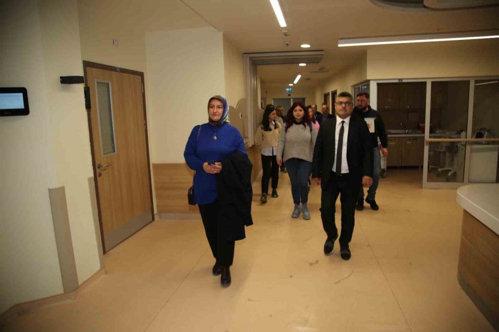 GÜRCİSTAN SAĞLIK HEYETİ SAĞLIK TURİZMİ İLE İLGİLİ İŞBİRLİĞİ YAPMAK, GÖRÜŞMELERDE VE İNCELEMELERDE BULUNMAK ÜZERE ERZURUM ŞEHİR HASTANESİ'Nİ ZİYARET ETTİ