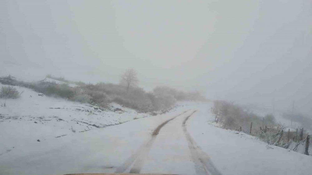 ORDU'NUN YÜKSEK KESİMLERİNDE VE YAYLALARDA DÜN AKŞAM SAATLERİNDE BAŞLAYAN KAR YAĞIŞI, GÜZEL GÖRÜNTÜLER OLUŞTURDU