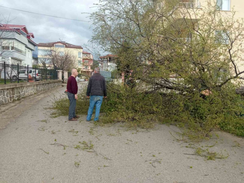 TRABZON'DA BUGÜN AKKAM SAATLERİNDE BAŞLAYAN ŞİDDETLİ FIRTINA MADDİ HASARA VE YARALANMALARA YOL AÇTI