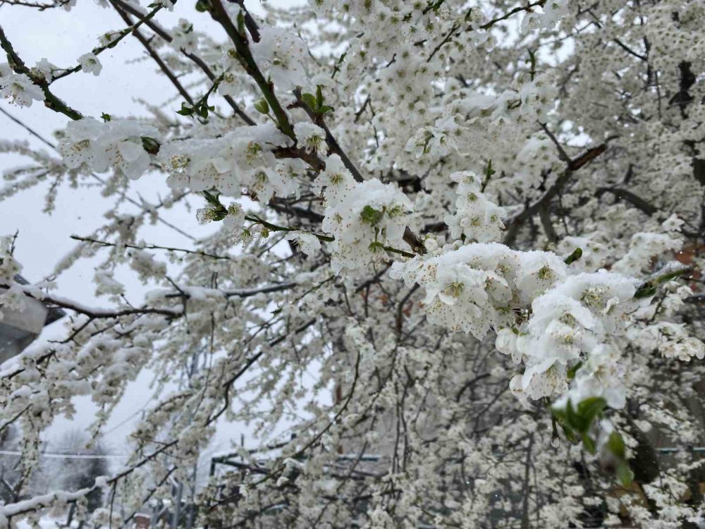 BATI KARADENİZ BÖLGESİNDE ETKİLİ OLAN SOĞUK HAVA İLE BİRLİKTE BARTIN'IN YÜKSEK RAKIMLI BÖLGELERİNDE KAR YAĞIŞI ETKİLİ OLDU. BARTIN’IN YÜKSEK RAKIMLI BÖLGELERİNDE KAR YAĞIŞI DEVAM EDİYOR