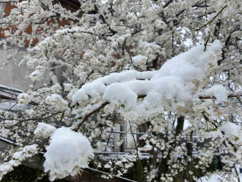 BATI KARADENİZ BÖLGESİNDE ETKİLİ OLAN SOĞUK HAVA İLE BİRLİKTE BARTIN'IN YÜKSEK RAKIMLI BÖLGELERİNDE KAR YAĞIŞI ETKİLİ OLDU. BARTIN’IN YÜKSEK RAKIMLI BÖLGELERİNDE KAR YAĞIŞI DEVAM EDİYOR