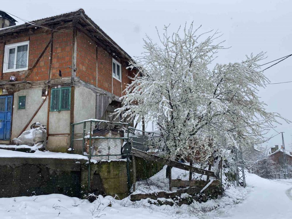 BATI KARADENİZ BÖLGESİNDE ETKİLİ OLAN SOĞUK HAVA İLE BİRLİKTE BARTIN'IN YÜKSEK RAKIMLI BÖLGELERİNDE KAR YAĞIŞI ETKİLİ OLDU. BARTIN’IN YÜKSEK RAKIMLI BÖLGELERİNDE KAR YAĞIŞI DEVAM EDİYOR