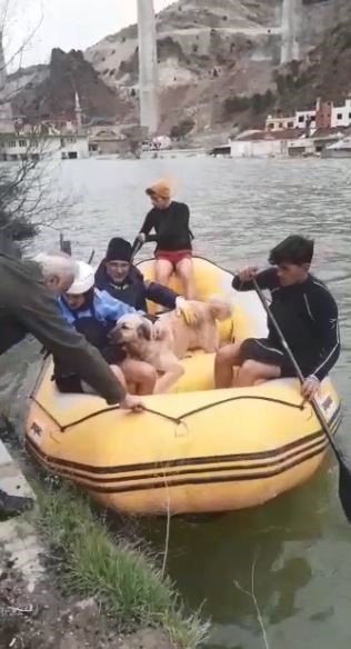 ARTVİN'İN YUSUFELİ İLÇESİNDE CADDE, SOKAK, EV VE İŞ YERLERİ SULAR ALTINDA KALDI. KARAYLA BAĞLANTISI KESİLEN BİNALARDA MAHSUR KALAN SAHİPSİZ SOKAK HAYVANLARI HAYVANSEVERLER EŞLİĞİNDE BOT YARDIMIYLA KURTARILDI