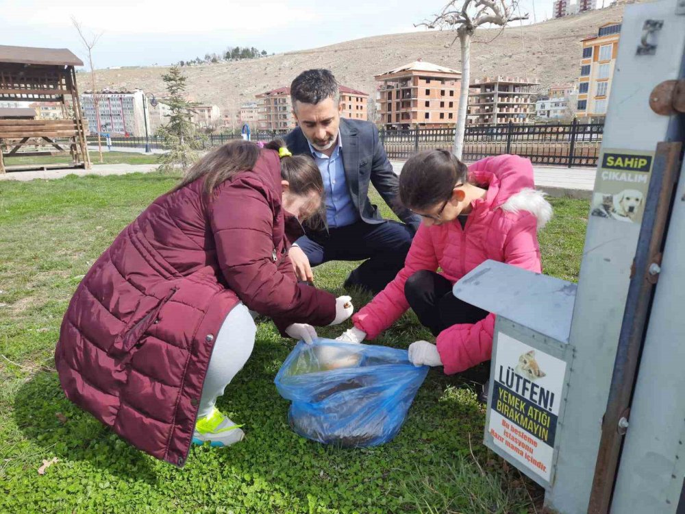 ÖĞRENCİLER SOKAK HAYVANLARINI UNUTMADI. 4 NİSAN SOKAK HAYVANLARINI KORUMA GÜNÜ'NDE ÖĞRENCİLER TARAFINDAN SOKAK HAYVANLARI İÇİN ÇORUH NEHRİ KENARINA MAMALAR BIRAKILDI