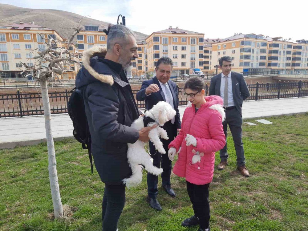 ÖĞRENCİLER SOKAK HAYVANLARINI UNUTMADI. 4 NİSAN SOKAK HAYVANLARINI KORUMA GÜNÜ'NDE ÖĞRENCİLER TARAFINDAN SOKAK HAYVANLARI İÇİN ÇORUH NEHRİ KENARINA MAMALAR BIRAKILDI