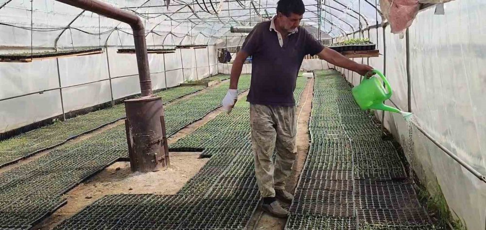 ERZURUM'UN UZUNDERE İLÇESİNDE YAŞAYAN YILDIRAY KARDAŞ, KENDİ BAHÇESİNDE AİLESİ İLE BİRLİKTE 300 BİN SEBZE FİDESİ ÜRETİYOR. KARDAŞ, ÜRETTİĞİ FİDELERİ TÜRKİYE'NİN HER YERİNE KARGO İLE GÖNDERİYOR