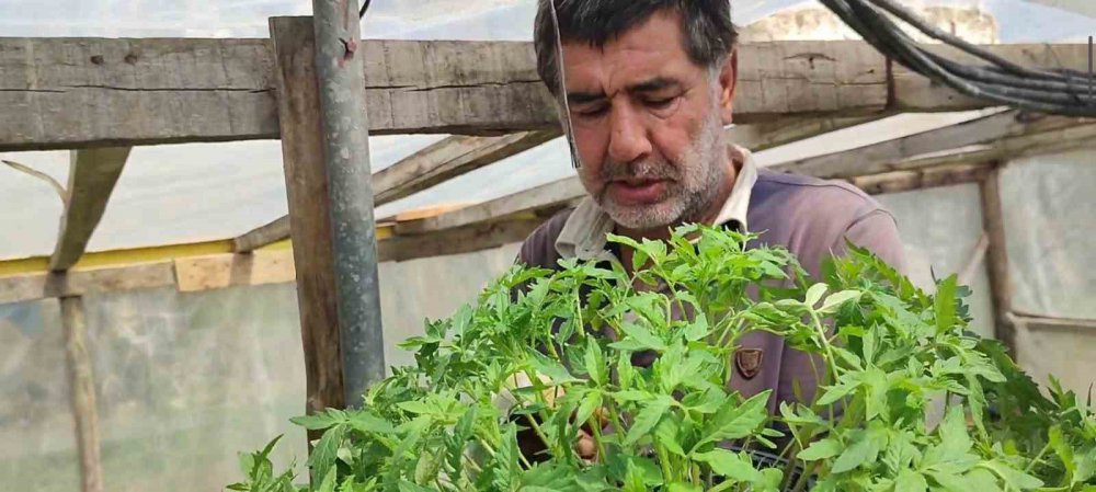 ERZURUM'UN UZUNDERE İLÇESİNDE YAŞAYAN YILDIRAY KARDAŞ, KENDİ BAHÇESİNDE AİLESİ İLE BİRLİKTE 300 BİN SEBZE FİDESİ ÜRETİYOR. KARDAŞ, ÜRETTİĞİ FİDELERİ TÜRKİYE'NİN HER YERİNE KARGO İLE GÖNDERİYOR