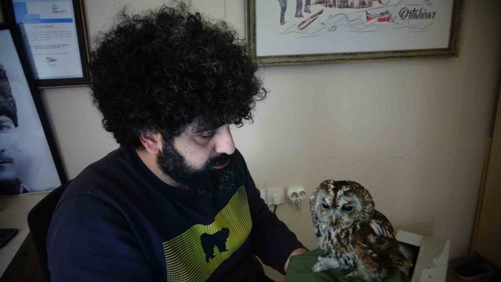 TRABZON'UN ORTAHİSAR İLÇESİNE BAĞLI YALINCAK MAHALLESİNDE BİR APARTMANIN CAMINA ÇARPARAK YARALANAN BAYKUŞ, YAKLAŞIK 10 GÜN SÜREN TEDAVİNİN ARDINDAN DOĞAYA SALINDI