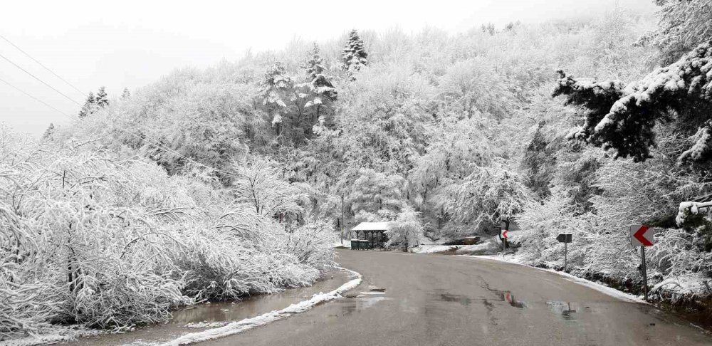 BOLU'NUN GÖZDE TURİZM MERKEZİ ABANT GÖLÜ MİLLİ PARKI, NİSAN AYINDA YAĞAN KARLA BİRLİKTE BEYAZ ÖRTÜYLE KAPLANDI