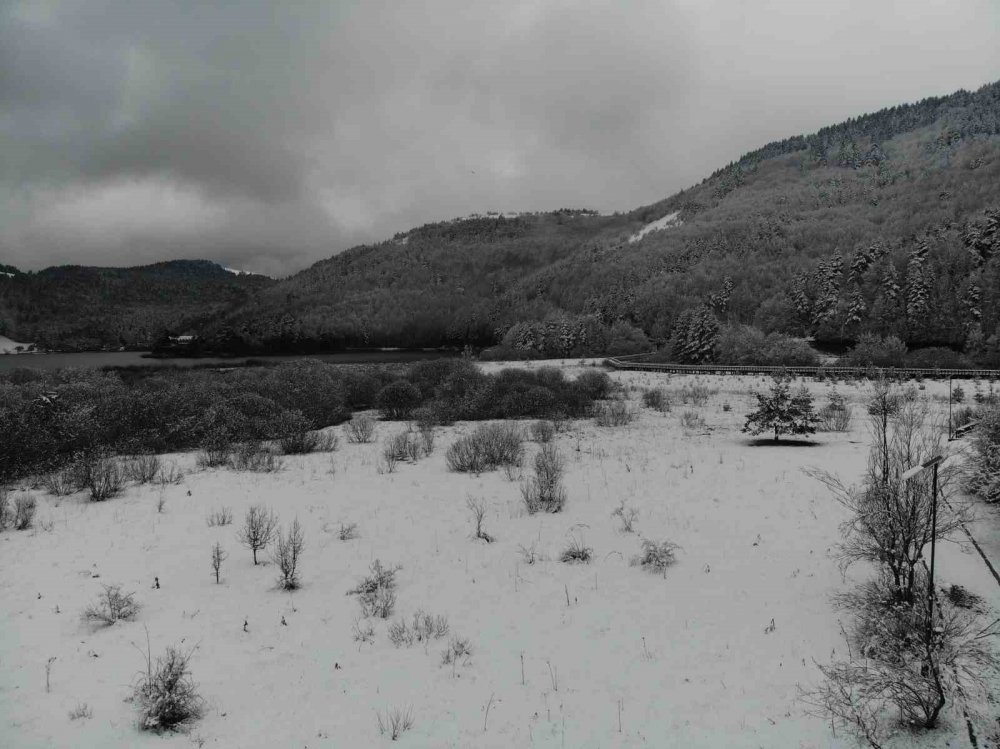 BOLU'NUN GÖZDE TURİZM MERKEZİ ABANT GÖLÜ MİLLİ PARKI, NİSAN AYINDA YAĞAN KARLA BİRLİKTE BEYAZ ÖRTÜYLE KAPLANDI