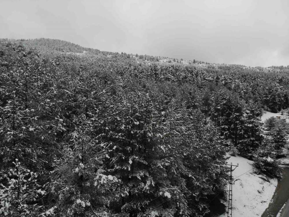 BOLU'NUN GÖZDE TURİZM MERKEZİ ABANT GÖLÜ MİLLİ PARKI, NİSAN AYINDA YAĞAN KARLA BİRLİKTE BEYAZ ÖRTÜYLE KAPLANDI