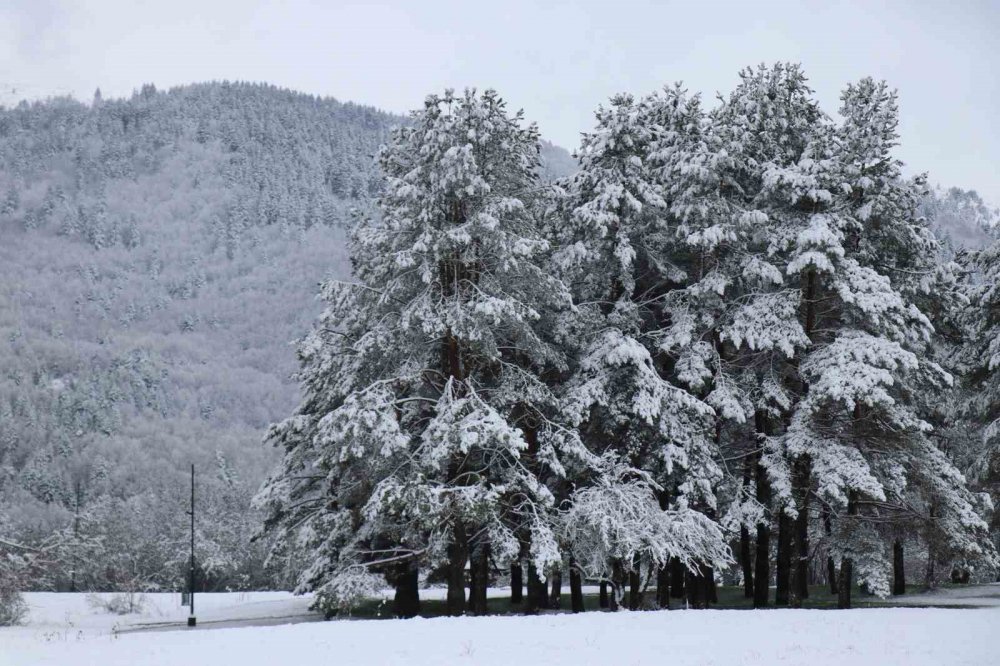 BOLU'NUN GÖZDE TURİZM MERKEZİ ABANT GÖLÜ MİLLİ PARKI, NİSAN AYINDA YAĞAN KARLA BİRLİKTE BEYAZ ÖRTÜYLE KAPLANDI