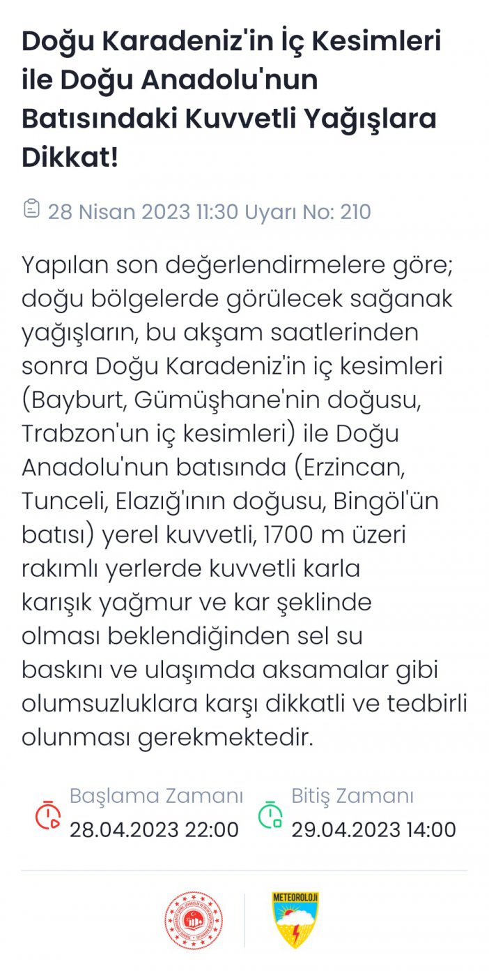 yagmur.jpeg
