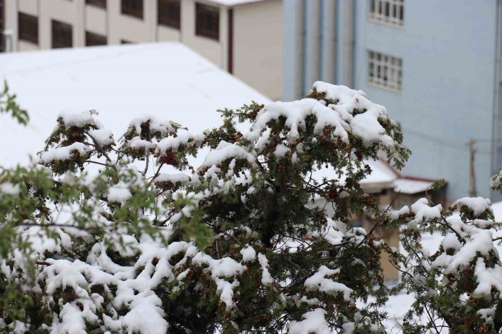 GÜMÜŞHANE'DE GECE YARISINDAN SONRA BAŞLAYAN KUVVETLİ YAĞMUR SABAHA KARŞI YERİNİ KAR YAĞIŞINA BIRAKTI VE KENT MERKEZİNİ 29 NİSAN TARİHİNDE BEYAZA BÜRÜDÜ