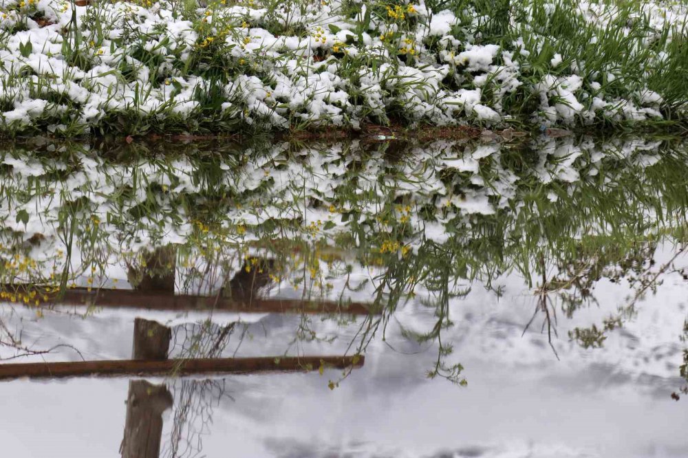 GÜMÜŞHANE'DE GECE YARISINDAN SONRA BAŞLAYAN KUVVETLİ YAĞMUR SABAHA KARŞI YERİNİ KAR YAĞIŞINA BIRAKTI VE KENT MERKEZİNİ 29 NİSAN TARİHİNDE BEYAZA BÜRÜDÜ