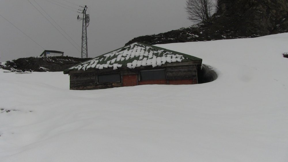 ARTVİN'İN BORÇKA İLÇESİNE BAĞLI CAMİLİ KÖYÜNÜ ZİYARET EDEN AK PARTİ ARTVİN MİLLETVEKİLİ ADAYI FARUK ÇELİK'E VATANDAŞLAR BİN 900 RAKIMLI ZİRVEYE TÜNEL TALEBİNDE BULUNDULAR
