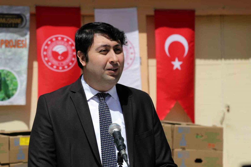 GÜMÜŞHANE’DEN 195 BİN SEBZE FİDESİ TOPRAKLA BULUŞACAK. İL ÖZEL İDARE DESTEKLİ % 50 HİBE DESTEKLİ FİDE DAĞITILDI