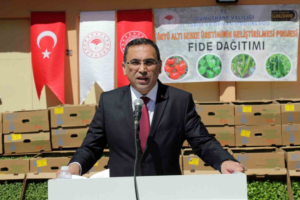 GÜMÜŞHANE’DEN 195 BİN SEBZE FİDESİ TOPRAKLA BULUŞACAK. İL ÖZEL İDARE DESTEKLİ % 50 HİBE DESTEKLİ FİDE DAĞITILDI