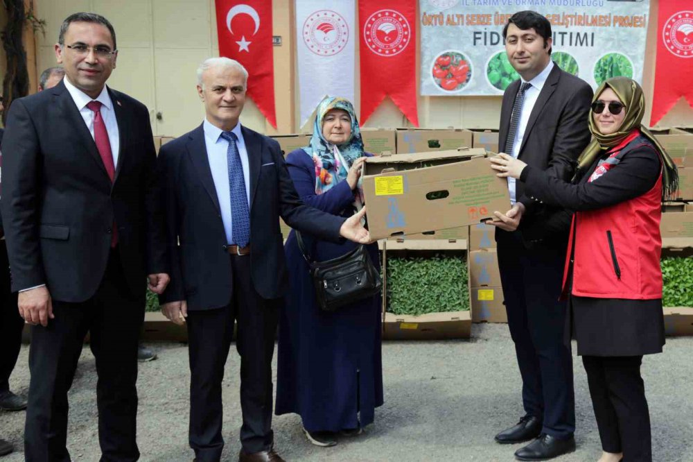 GÜMÜŞHANE’DEN 195 BİN SEBZE FİDESİ TOPRAKLA BULUŞACAK. İL ÖZEL İDARE DESTEKLİ % 50 HİBE DESTEKLİ FİDE DAĞITILDI