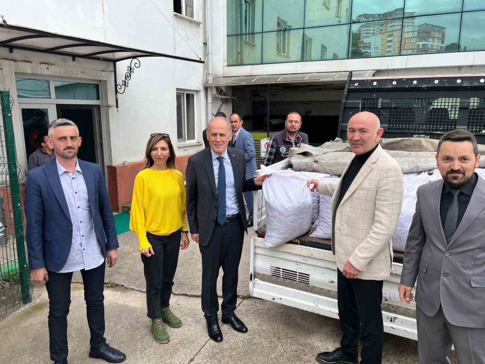 GİRESUN İL TARIM VE ORMAN MÜDÜRLÜĞÜ TARAFINDAN İL GENELİNDE 43 ÇİFTÇİYE YÜZDE 50 HİBE DESTEĞİYLE 325 KİLOGRAM SALEP YUMRU TOHUMU DAĞITIMI YAPILDI