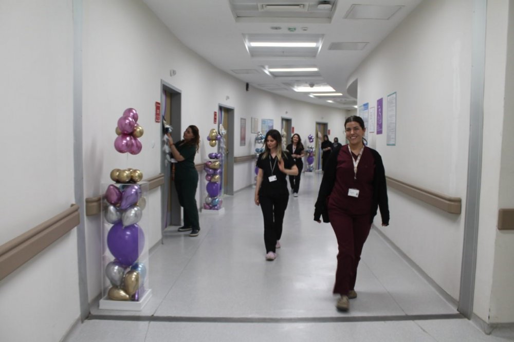 BAYBURT DEVLET HASTANESİ ÇOCUK SERVİSİ DUVARLARI, ÇOCUKLARIN SEVDİĞİ ÇİZGİ FİLM KARAKTERLERİYLE, HAYVAN FİGÜRLERİYLE DONATILDI, ODALARA DA İLGİLERİNİ ÇEKEBİLECEKLERİ HAYVANLARIN VE KARAKTERLERİN İSİMLERİ VERİLDİ