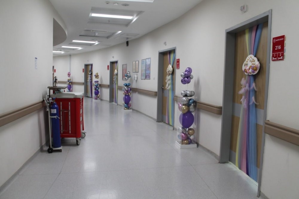 BAYBURT DEVLET HASTANESİ ÇOCUK SERVİSİ DUVARLARI, ÇOCUKLARIN SEVDİĞİ ÇİZGİ FİLM KARAKTERLERİYLE, HAYVAN FİGÜRLERİYLE DONATILDI, ODALARA DA İLGİLERİNİ ÇEKEBİLECEKLERİ HAYVANLARIN VE KARAKTERLERİN İSİMLERİ VERİLDİ