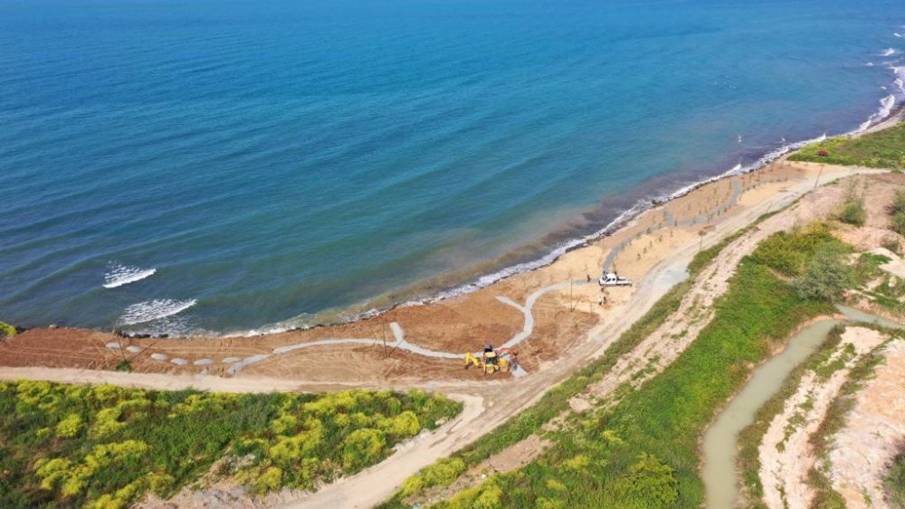 ORDU'NUN ÜNYE İLÇESİNDE YAKLAŞIK 40 YIL BOYUNCA VAHŞİ ÇÖP DEPOLAMA ALANI OLARAK KULLANILAN 2020 YILINDA ÜSTÜ KAPATILAN DENİZ KENARINDAKİ 60 DÖNÜMLÜK ALAN MEYVE BAHÇESİ OLUYOR