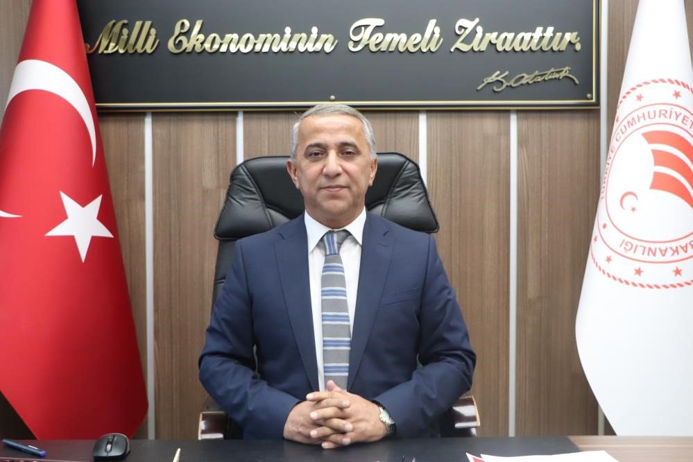 SAMSUN İL TARIM VE ORMAN MÜDÜRÜ İBRAHİM SAĞLAM, FINDIK KURDU VE FINDIKTA KÜLLENME  MÜCADELE ZAMANININ GELDİĞİNİ,  ZAMAN KAYBETMEDEN KİMYASAL MÜCADELE YAPILMASI GEREKTİĞİNİ SÖYLEDİ