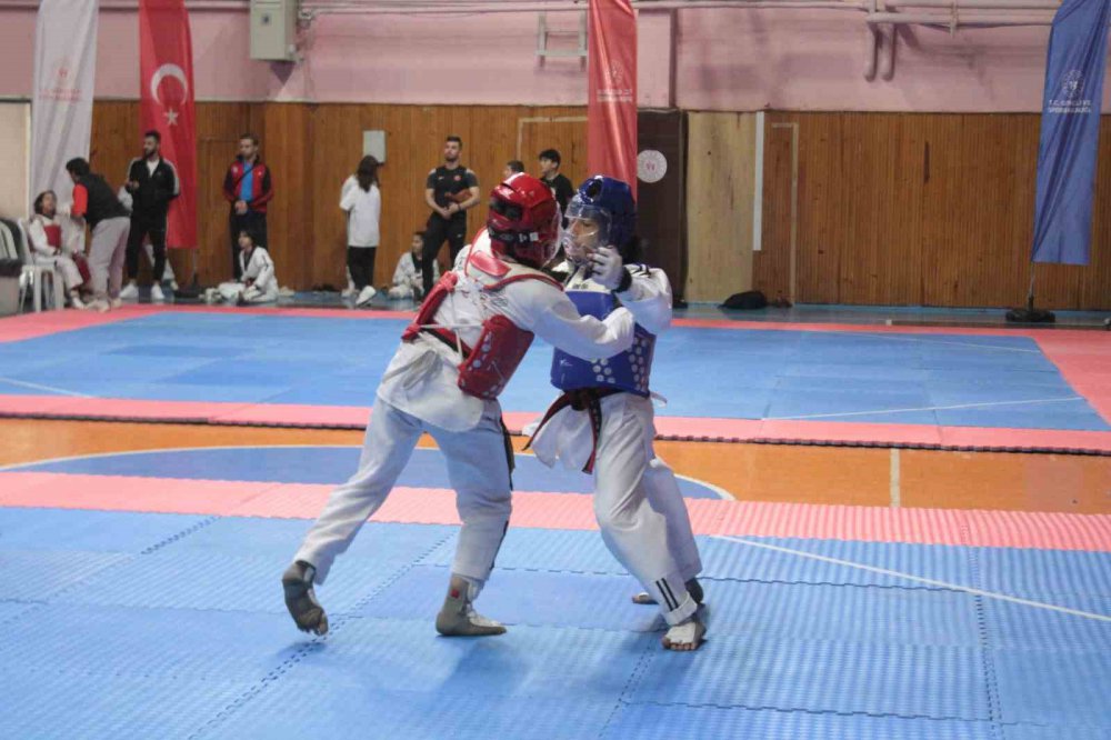 TEKVANDO YILDIZLAR GRUP YARIŞMALARI ORDU’DA 17 İLDEN YAKLAŞIK 300 SPORCU İLE BAŞLADI