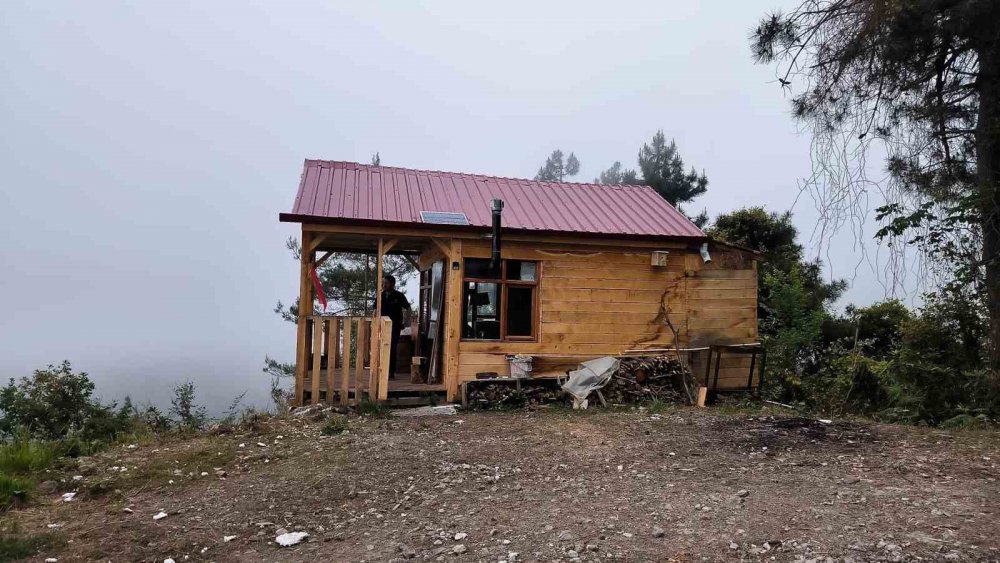 ARTVİN'DE BAĞ EVİNİN KAPISININ ZORLANMASI İLE HIRSIZLARDAN ŞÜPHELENEN VATANDAŞ FOTOKAPAN KURDU, GÖRÜNTÜLERİ İZLEYİNCE BOZ BİR AYIYI GÖRÜNCE ŞOK OLDU