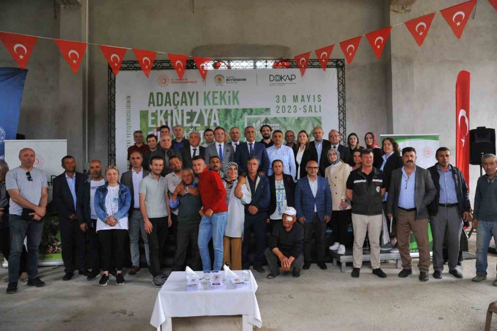 SAMSUN ‘TIBBI AROMATİK BİTKİ’ ÜRETİMİNDE MERKEZ OLUYOR. SAMSUN'U "TIBBI AROMATİK BİTKİ" YETİŞTİRİCİLİĞİNDE MERKEZ KONUMUNA GETİRECEK ÇALIŞMALARA HIZ VERİLDİ