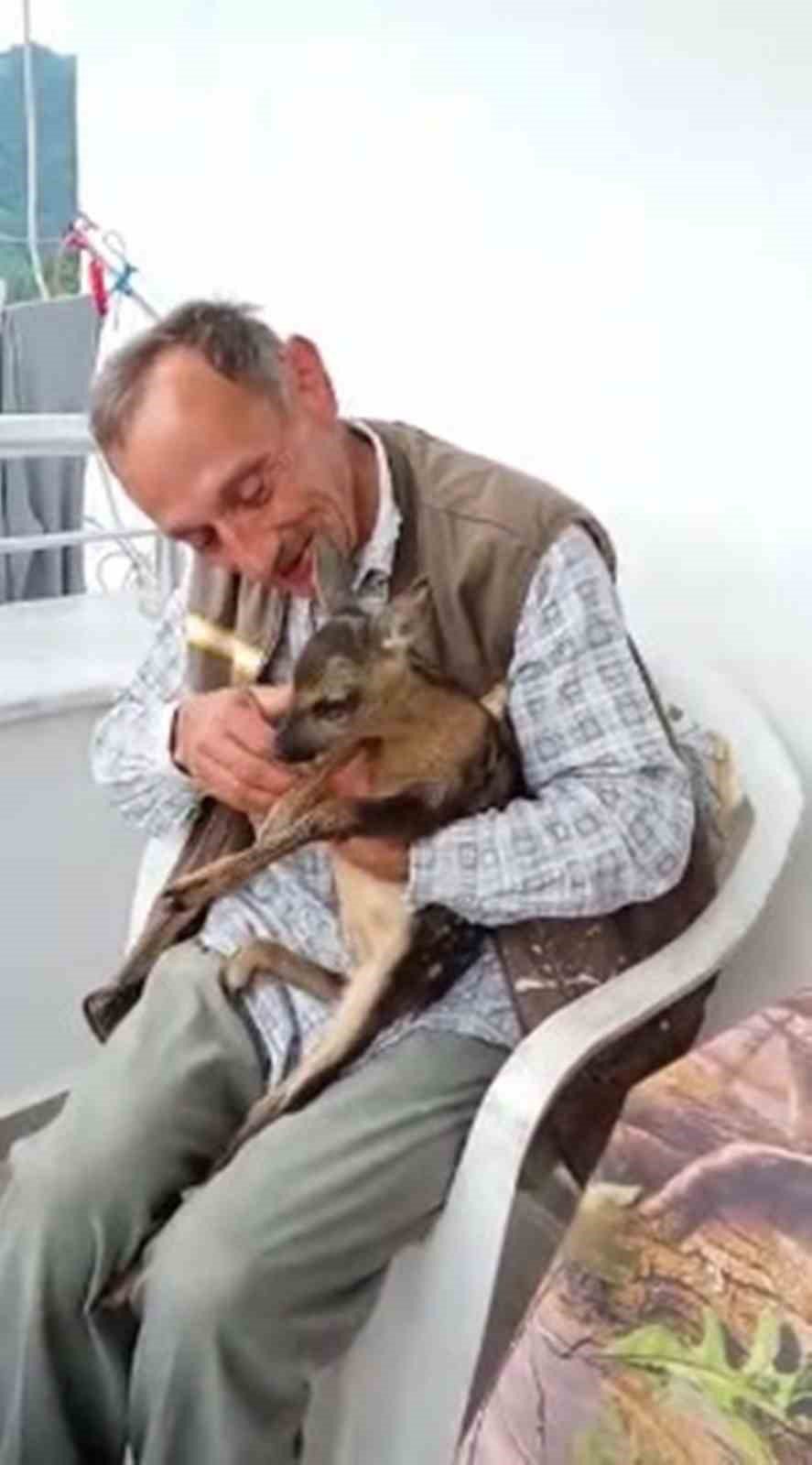 TRABZON'UN BEŞİKDÜZÜ İLÇESİ HÜNERLİ MAHALLESİNDE BİR EVİN BAHÇESİNDE BULUNAN YAVRU KARACA DOĞA KORUMA VE MİLLİ PARKLAR YETKİLİLERİNE TESLİM EDİLDİ