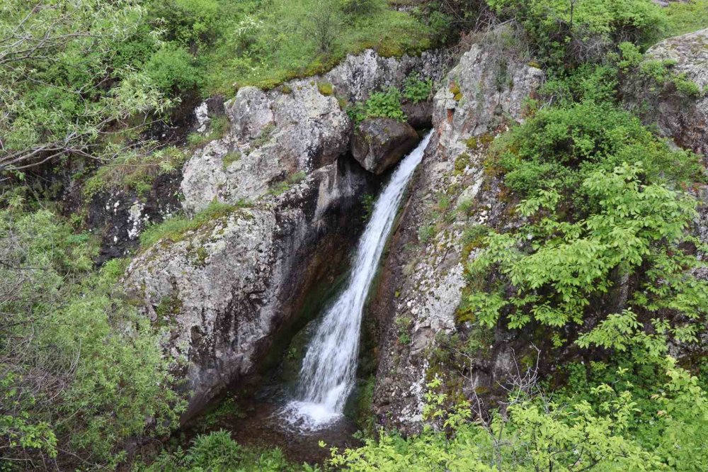 ERZURUM'UN OLUR İLÇESİ ORMANAĞAZI KÖYÜNDE BULUNAN KARNAVAS ŞELALESİ SAĞANAK YAĞMURLARLA BİRLİKTE COŞKULU ŞEKİLDE AKMAYA DEVAM EDİYOR