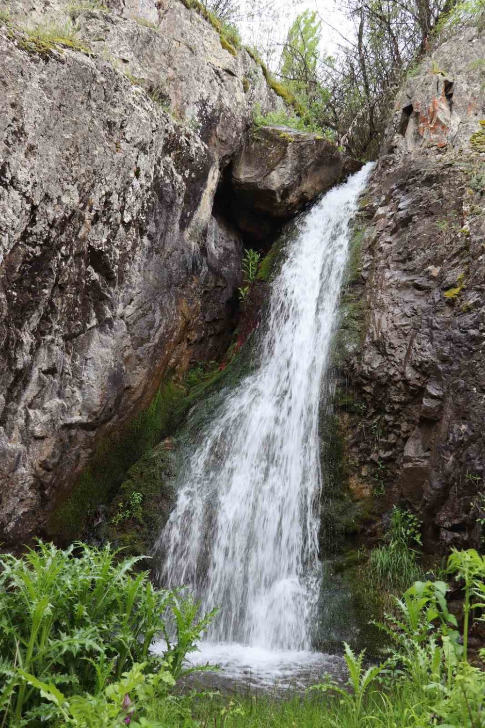 ERZURUM'UN OLUR İLÇESİ ORMANAĞAZI KÖYÜNDE BULUNAN KARNAVAS ŞELALESİ SAĞANAK YAĞMURLARLA BİRLİKTE COŞKULU ŞEKİLDE AKMAYA DEVAM EDİYOR
