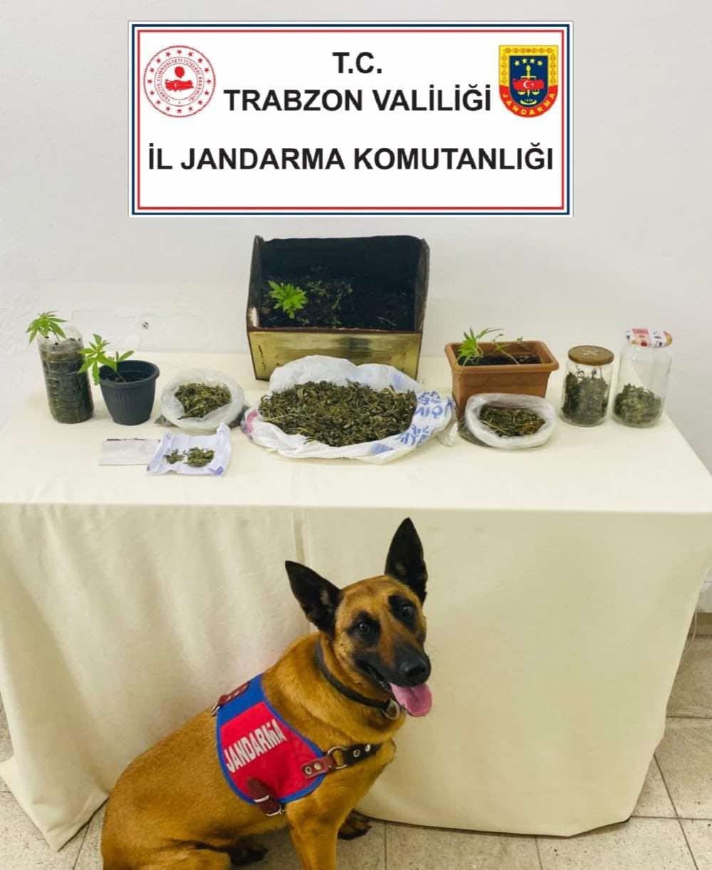 TRABZON'UN MAÇKA VE VAKFIKEBİR İLÇELERİNDE JANDARMA EKİPLERİNCE YAPILAN OPERASYONDA UYUŞTURUCU MADDE VE SİLAH ELE GEÇİRİLİRKEN, 3 ŞAHIS TUTUKLANARAK CEZAEVİNE GÖNDERİLDİ
