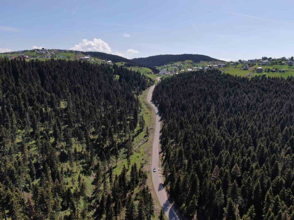 TRABZON'UN EN ÇOK İLGİ GÖREN YAYLALARI ARASINDA YERİNİ ALAN KAYABAŞI YAYLASI, YAZ MEVSİMİNİN BAŞLAMASIYLA BİRLİKTE HAREKETLENMEYE BAŞLADI