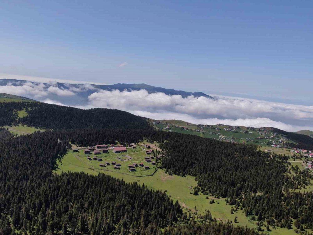 TRABZON'UN EN ÇOK İLGİ GÖREN YAYLALARI ARASINDA YERİNİ ALAN KAYABAŞI YAYLASI, YAZ MEVSİMİNİN BAŞLAMASIYLA BİRLİKTE HAREKETLENMEYE BAŞLADI